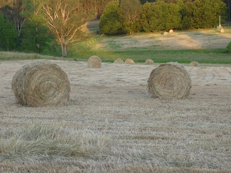 3116 Muir Highway, Manjimup WA 6258