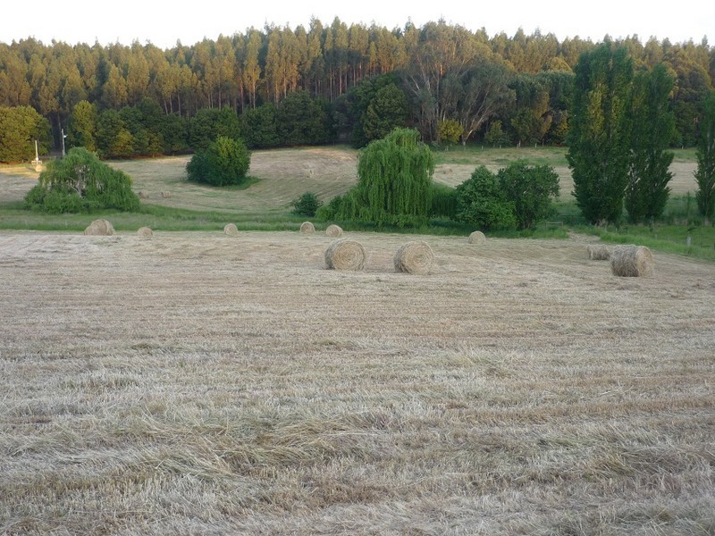 3116 Muir Highway, Manjimup WA 6258