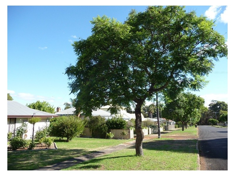 16 Moore Street, Manjimup WA 6258