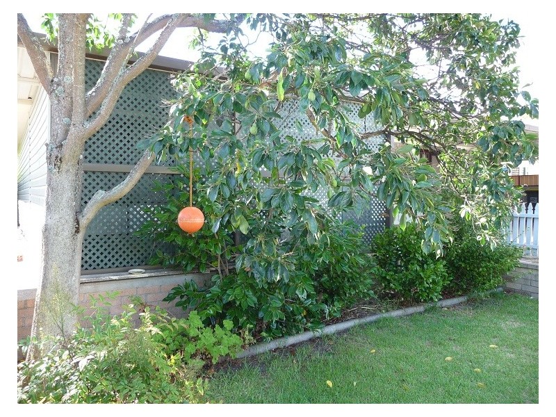 16 Moore Street, Manjimup WA 6258