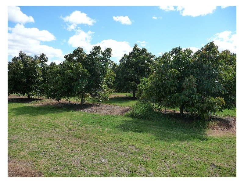 18 Parkland View, Manjimup WA 6258