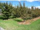 18 Parkland View, Manjimup WA 6258