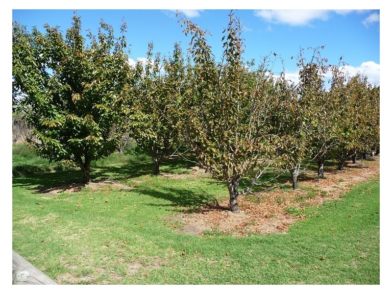 18 Parkland View, Manjimup WA 6258