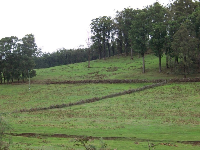 NL 2084 Dingup Road, Manjimup WA 6258