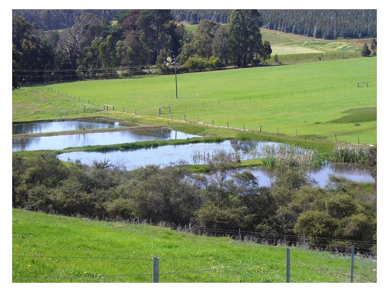 Lot 12 Balbarrup Road, Manjimup WA 6258