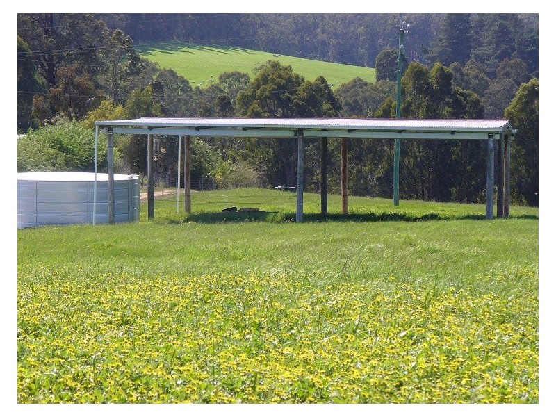 Lot 12 Balbarrup Road, Manjimup WA 6258