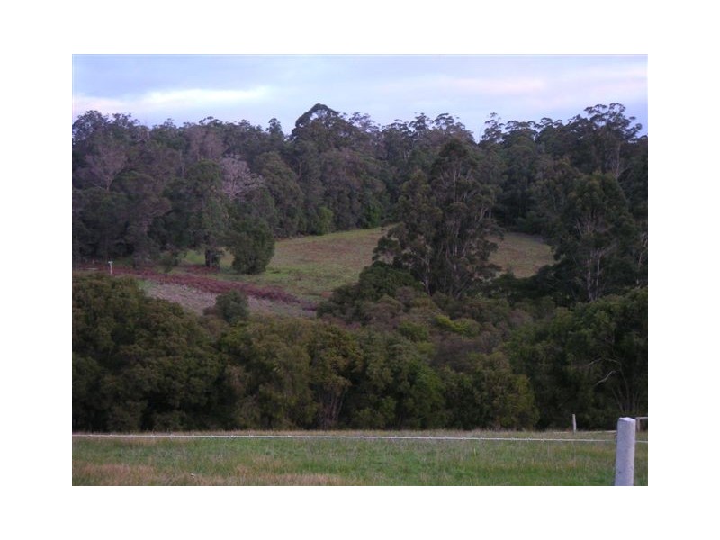 8773 Hillbrook Rd, Northcliffe WA 6262