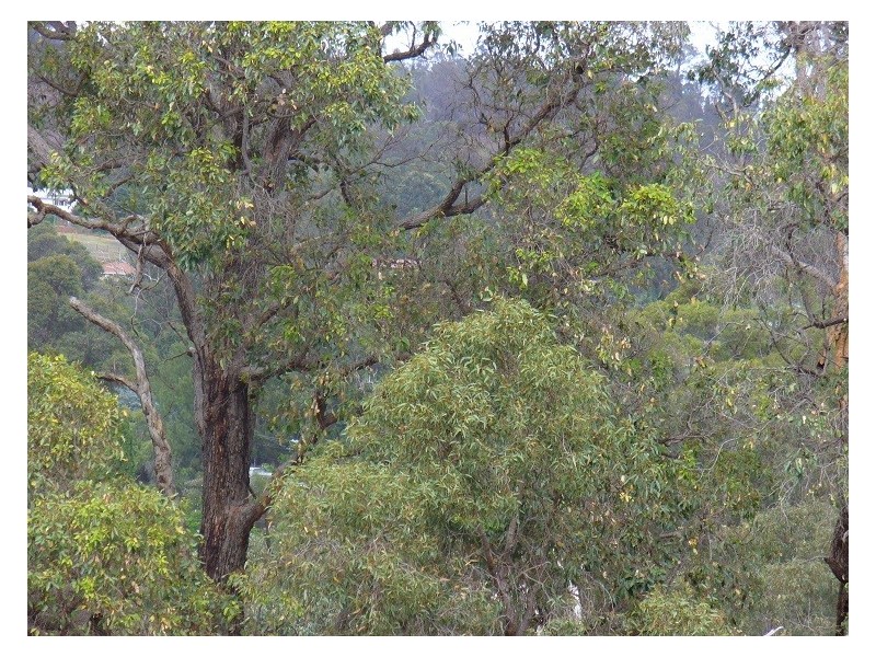 6 Railway Terrace, Bridgetown WA 6255