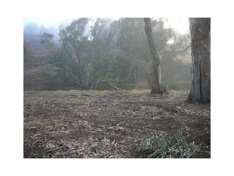 Lot 411 Blackwood Tce, Bridgetown WA 6255