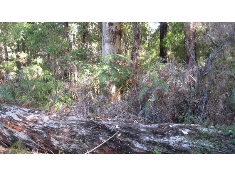 14 Parkfield Drive, Northcliffe WA 6262