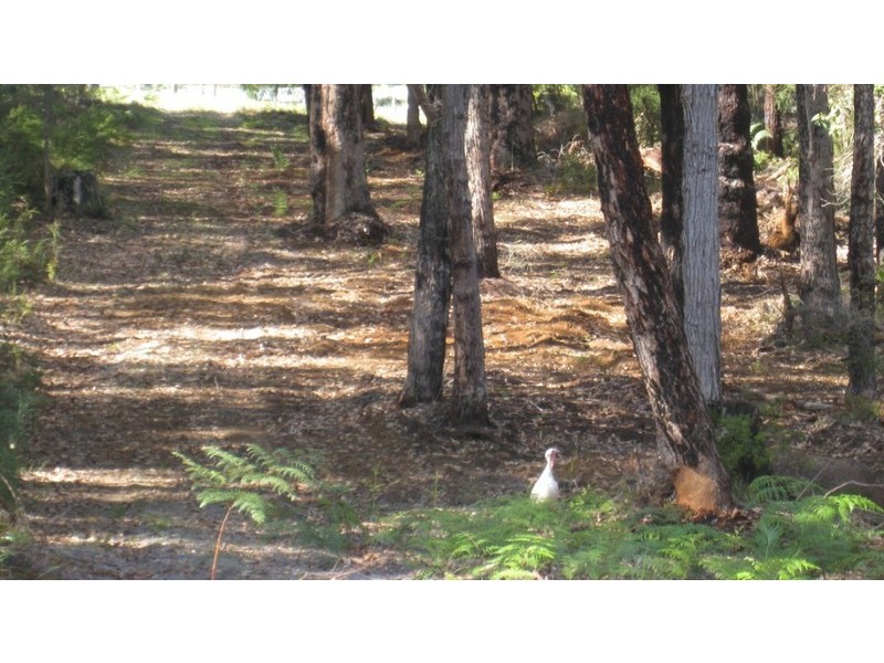 14 Parkfield Drive, Northcliffe WA 6262