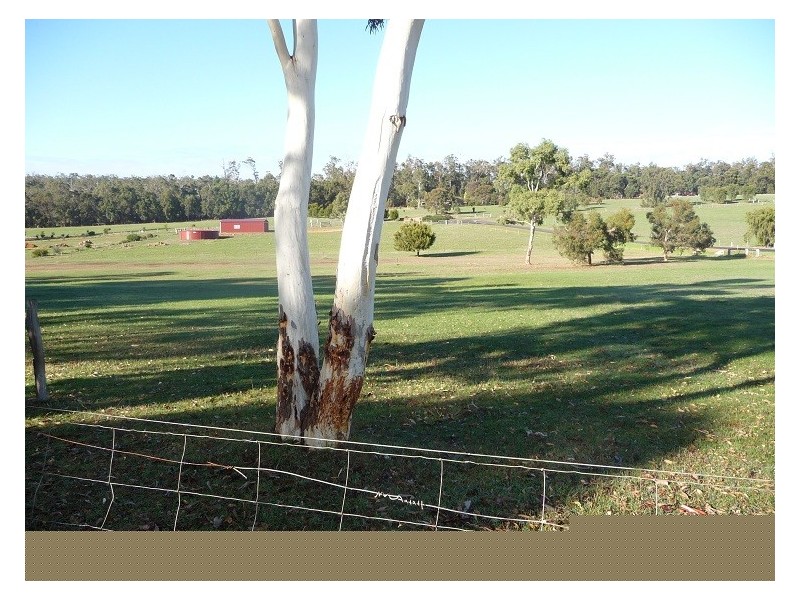 Lot 10 Longo Court, Manjimup WA 6258