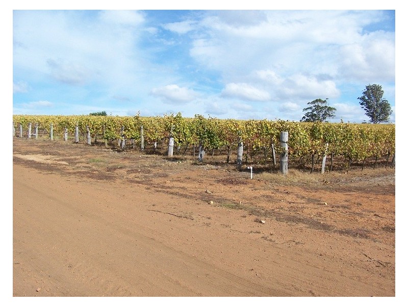 NL 9069 Yanmah Road, Manjimup WA 6258