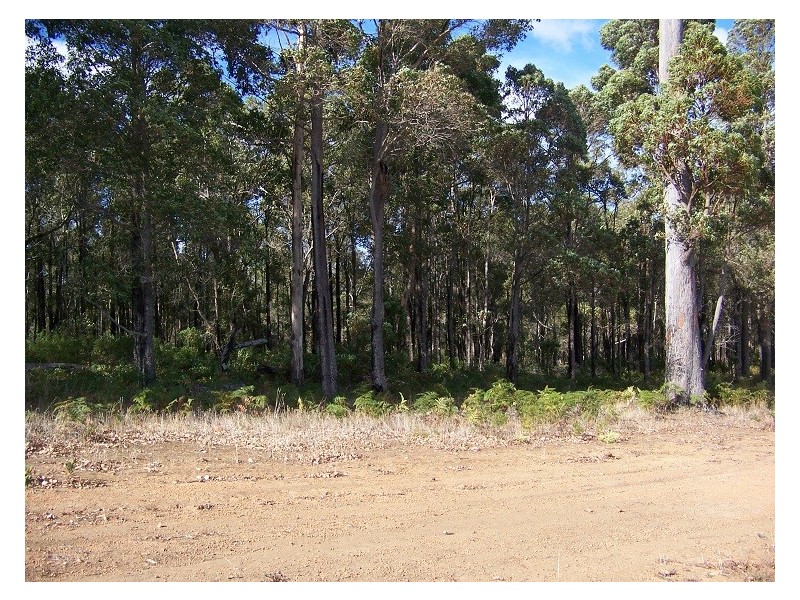 NL 9069 Yanmah Road, Manjimup WA 6258