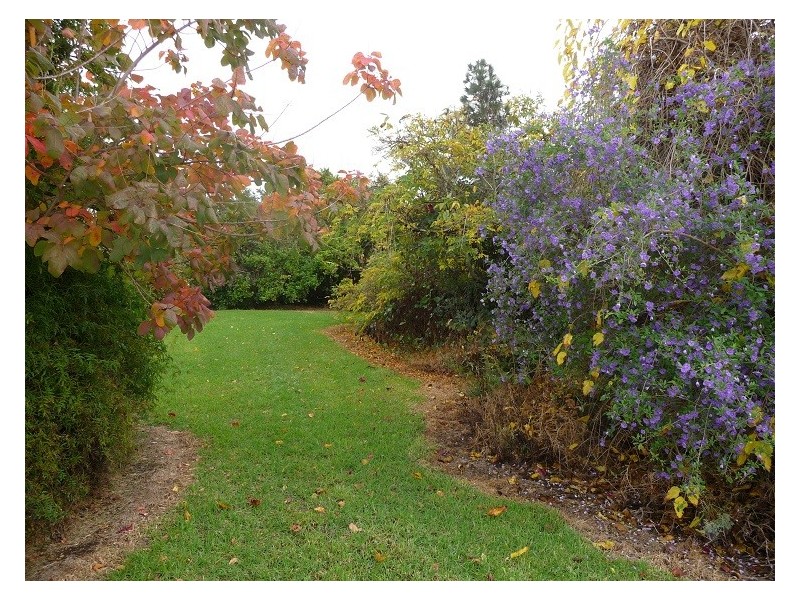 NL 9069 Yanmah Road, Manjimup WA 6258