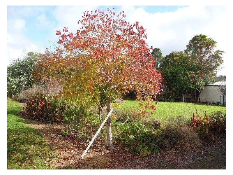 NL 9069 Yanmah Road, Manjimup WA 6258