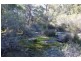 Lot 8871 Jay Rd, Meerup WA 6262
