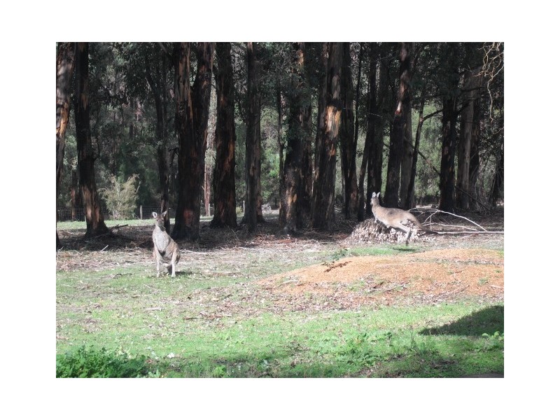 22 Browns Road, Pemberton WA 6260