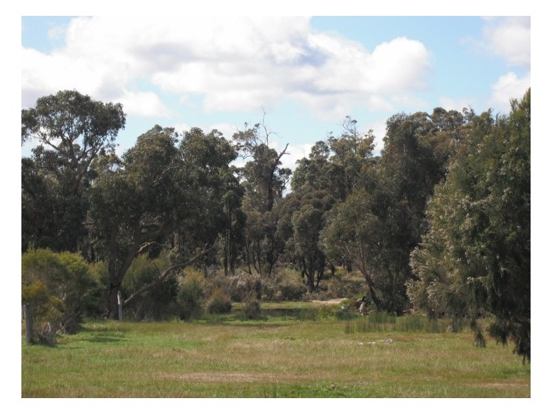 NL 8675  Caessia Rd, Northcliffe WA 6262