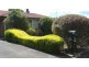 13 Oconnor Street, Manjimup WA 6258
