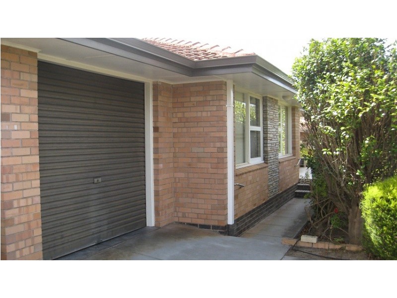 13 Oconnor Street, Manjimup WA 6258