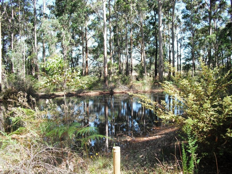 Lot 1 Sparsa Close, Northcliffe WA 6262
