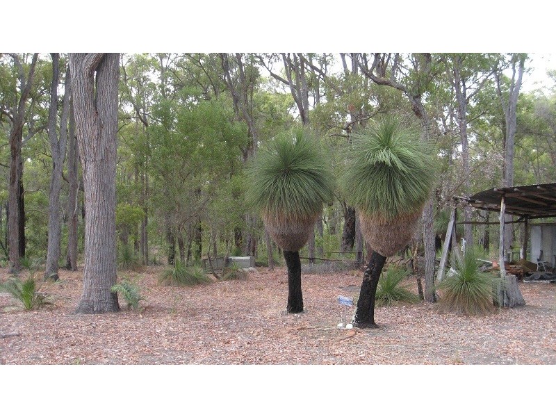 403 Junction Road, Manjimup WA 6258