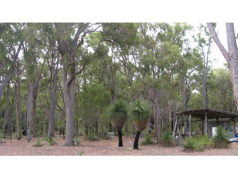 403 Junction Road, Manjimup WA 6258