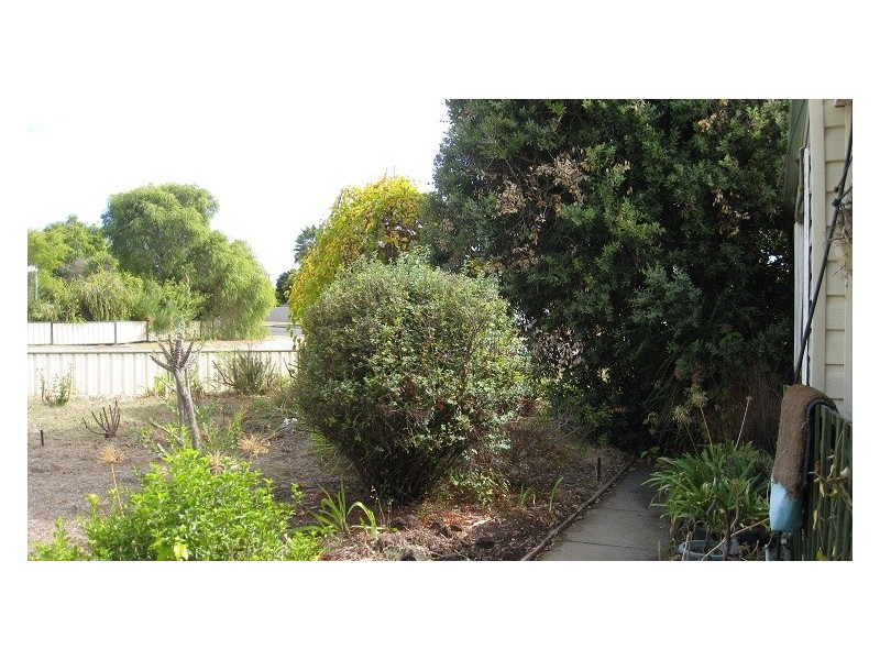 50 Mount Street, Manjimup WA 6258