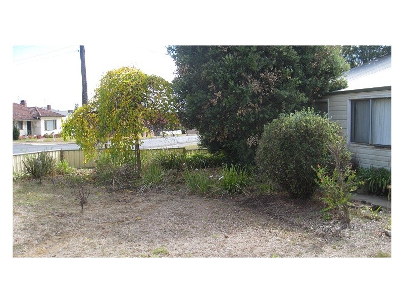 50 Mount Street, Manjimup WA 6258