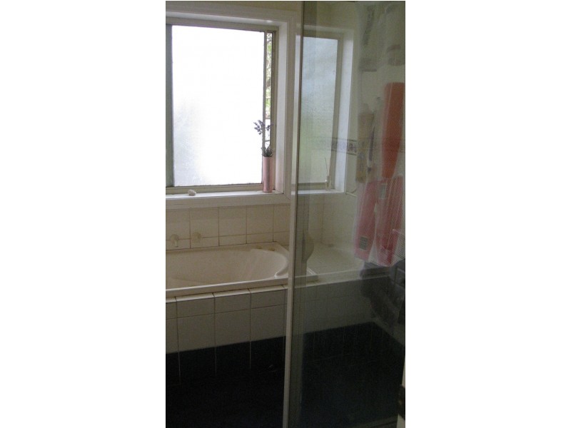 50 Mount Street, Manjimup WA 6258