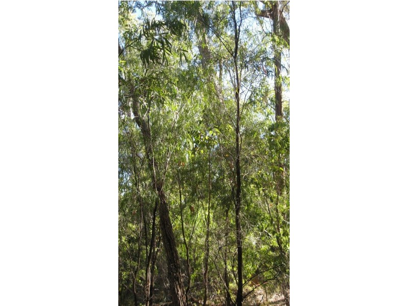 Lot 122 Karri Lane, Quinninup WA 6258