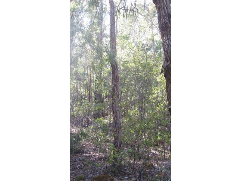 Lot 122 Karri Lane, Quinninup WA 6258