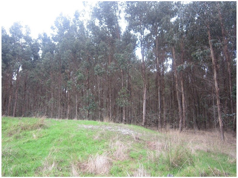 Location 8701 Richardson Road, Northcliffe WA 6262