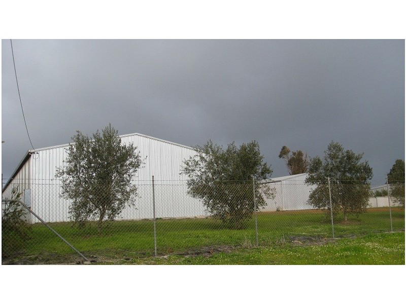 Lot 751 Gandy Street, Manjimup WA 6258