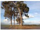 Perup road NL 1618, Manjimup WA 6258
