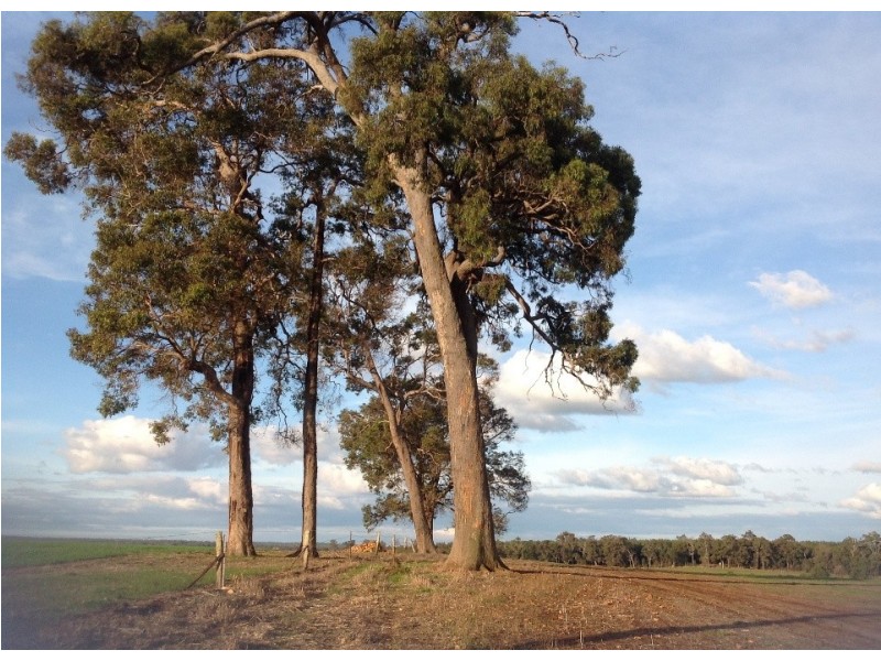 Perup road NL 1618, Manjimup WA 6258