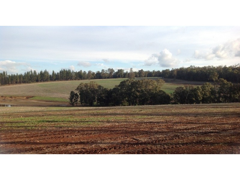 Perup road NL 1618, Manjimup WA 6258