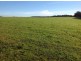 NL5189 NL5190 Diamond tree road, Manjimup WA 6258