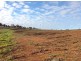 NL5189 NL5190 Diamond tree road, Manjimup WA 6258