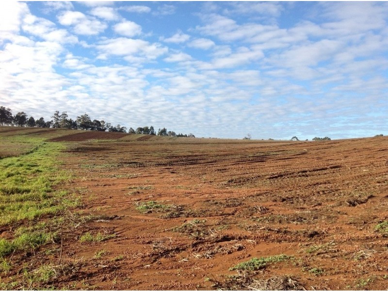 NL5189 NL5190 Diamond tree road, Manjimup WA 6258