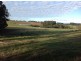 NL5189 NL5190 Diamond tree road, Manjimup WA 6258