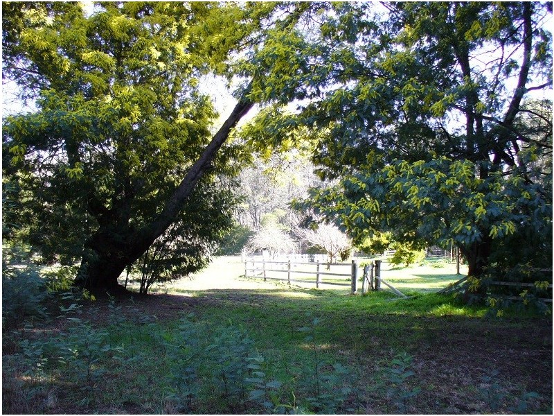 Lot 11 Langley Road, Quinninup WA 6258