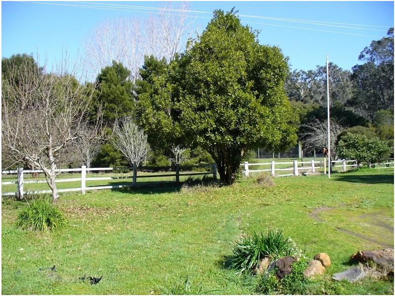 Lot 11 Langley Road, Quinninup WA 6258