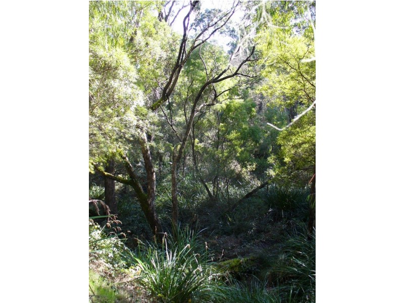 Lot 11 Langley Road, Quinninup WA 6258