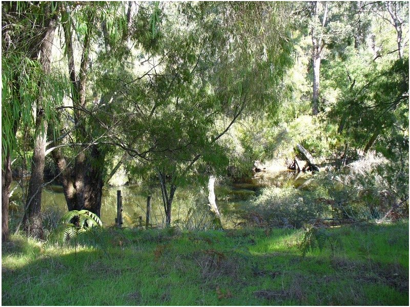 Lot 11 Langley Road, Quinninup WA 6258