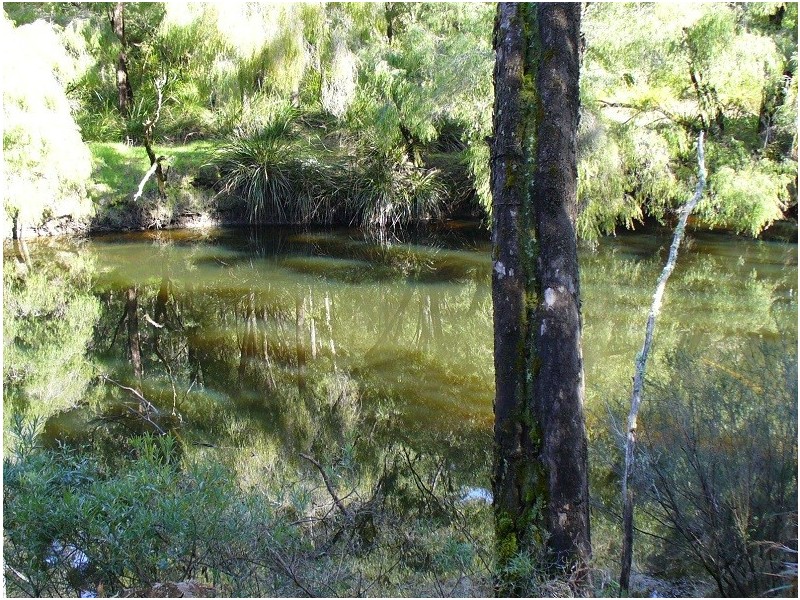 Lot 11 Langley Road, Quinninup WA 6258