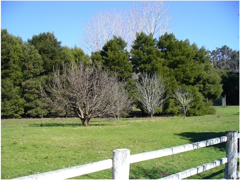 Lot 11 Langley Road, Quinninup WA 6258