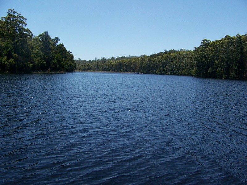 Lot 143 Karri Lane, Quinninup WA 6258