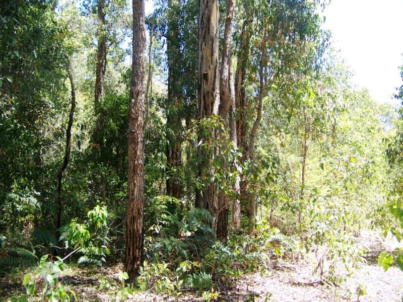 Lot 143 Karri Lane, Quinninup WA 6258